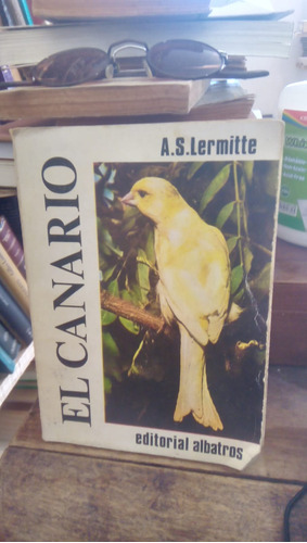 Canario - A. S. Lermitte