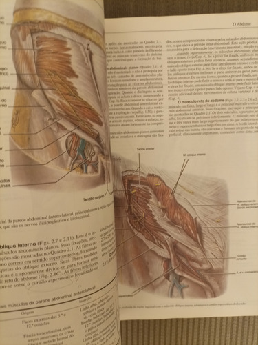 Livro Anatomia Orientada Para A Clínica Edição 3 De 1994 Livro Keith L. Moore (Usado)