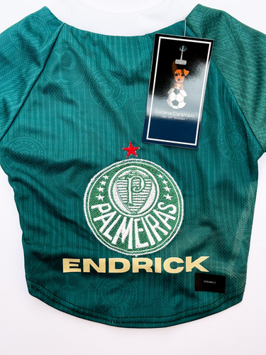 Roupa P/ Cachorro Palmeiras Verde - Endrick