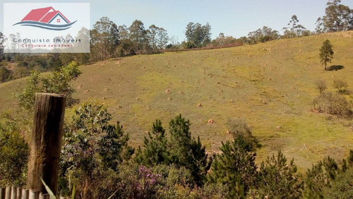 Imagem 9 de 15 de Sitio Igaratá 30.000m² Formada - Porteira Fechada - 85
