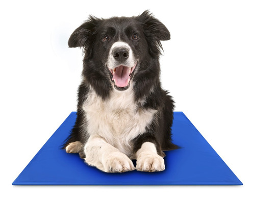 Dog Cooling Mat (colchoneta Refrescante Para Perros) 30x40cm