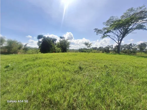 Venta Lotes En Quimbaya -quindío Colombia Cod: 7555717