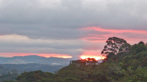 Chácara Para Venda Em Terra Preta Mairiporã-sp - 132