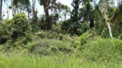 Imagem 2 de 6 de Terreno No Litoral Com 5080 M², Lado Serra. Itanhaém/sp