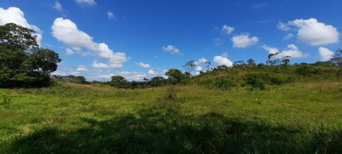 Imagen 10 de 14 de Se Vende Finca 72 Has Orilla De Carretera Manzanita