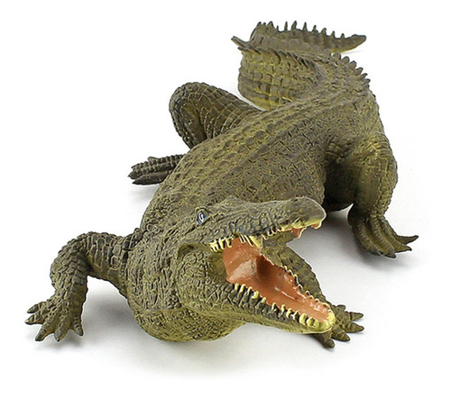 Modelo De Cocodrilo 5 Piezas