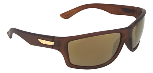 Lentes De Sol Steve Madden X17167 Marrón Hombre