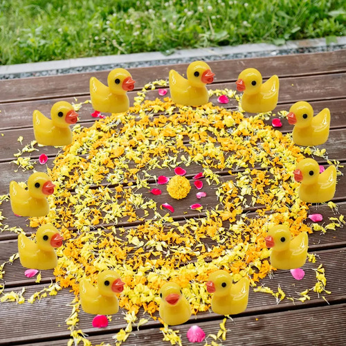 Kkl 100 Modelos Animales De Pato