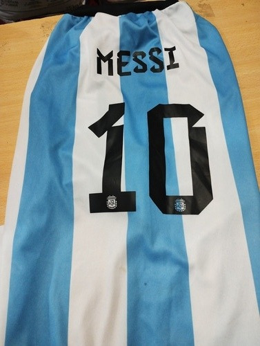 Remera Camiseta De Argentina Para Perro Qatar 2022 80 Cm