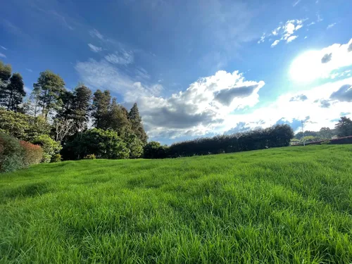 Hermoso Lote Ubicado En El Alto De Las Palmas