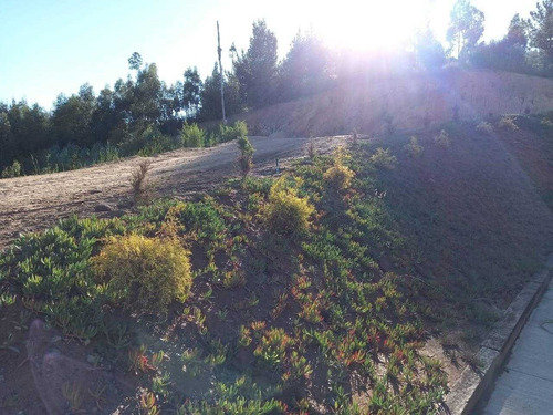 Terreno Inmobiliario 5.500 M2 Excelente Ubicación Lonco Ray