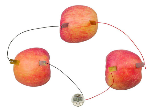 Fruit Battery Science Experiment Kits Reloj Digital