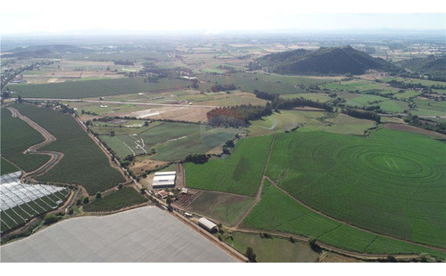 Fundo El Paso. Gran Suelo Agrícola De 128 Ha.