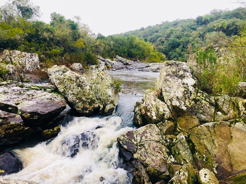 Quinta En Venta - Monoambiente En Aiguá (ref: Bpv-7831)
