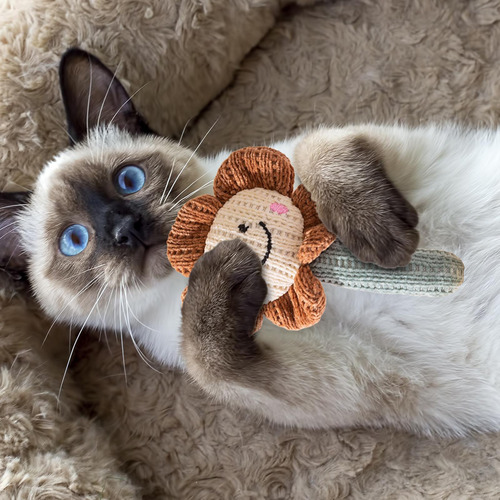Juguete Para Gatos Con Hierba Gatera, Juguete Suave Para