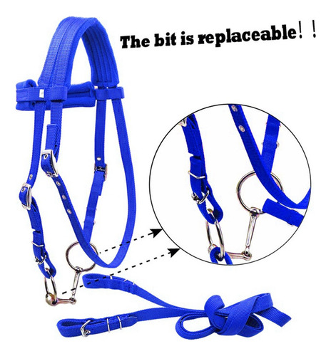 Brida De Nylon Para Montar A Caballo Azul L