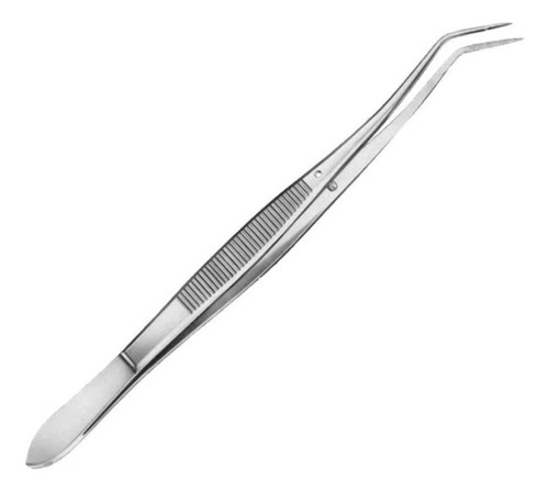 Pinza Para Algodon Odontologia Acodada Acero Inox X Unidad