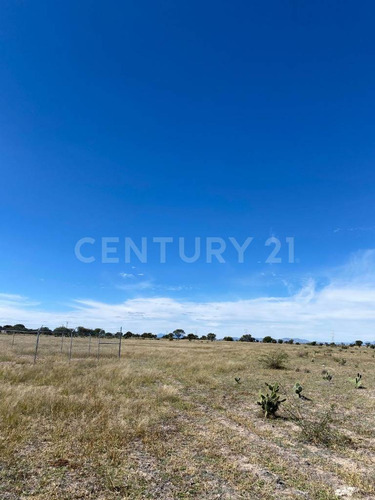 Lote En Venta En Predio El Águila, El Llano, Aguascalientes