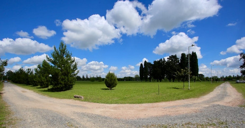 Imagen 5 de 9 de Lote Quinta De 1500 M2 Chacras Don Jose