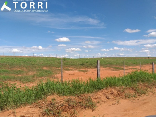 Imagem 14 de 20 de Fazenda À Venda Em Alto Alegre - Fa00176 - 69382951