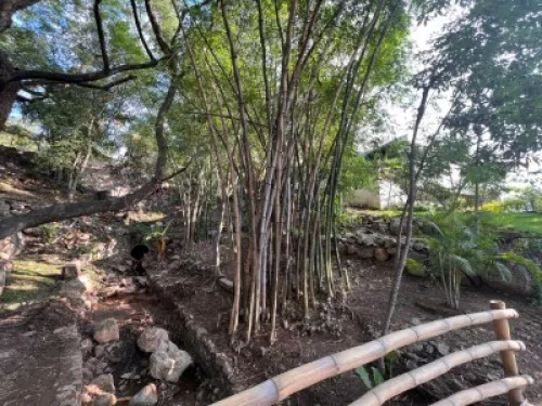 Se Vende Casa En Las Cañadas