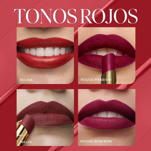 Labial En Barra Mate Infini L'bel
