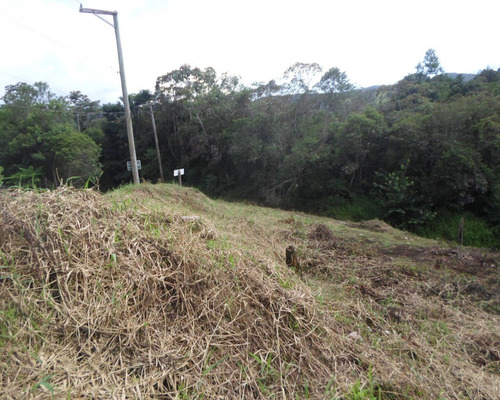 Imagem 3 de 7 de Terreno - 03710 - 33228906