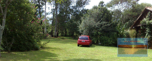 Terreno À Venda, 25263 M² Por R$ 3.500.000,00 - Lomba Do Pinheiro - Porto Alegre/rs - Te0165