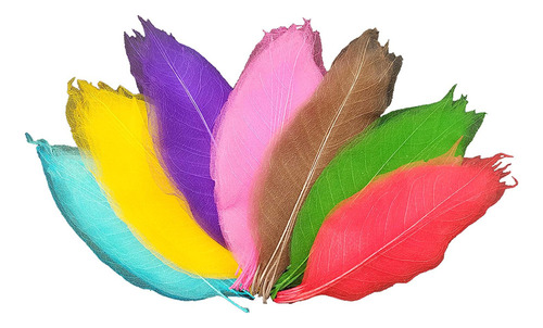 Artesanía Multi Color Esqueleto Hojas Para Diy De Magnolia
