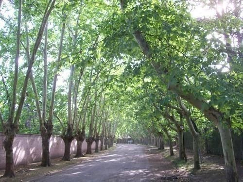 Imagen 7 de 7 de Casa En Alquiler En Parque Leloir