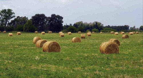 Terreno En Venta En La Cañada City Bell - Alberto Dacal Propiedades