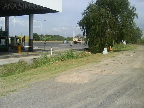 Imagen 22 de 30 de Excelente Terreno De 17 Ha, Sobre Camino Del Buen Ayre