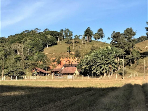 Imagem 8 de 11 de Sitio Em Gaspar - 997