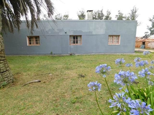 Imagen 5 de 15 de Quinta En Venta En Maldonado