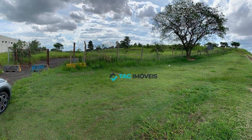 Terreno À Venda, 10000 M² Por R$ 8.000.000 - Jardim São João - Campinas/sp - Te0308