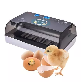 Incubadora Automatica 12 Huevos Volteo Casi Imperceptible