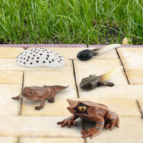 3 Figuritas De Animales Realistas Modelo De De Ranas Estilo