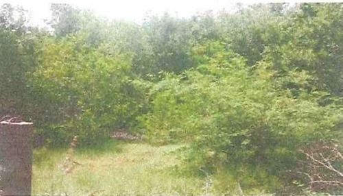 Vendo Terreno Ideal Para Desarrollo De Proyecto Turístico