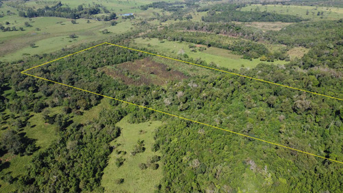 Imagen 2 de 17 de Propiedad De 20 Hectáreas Con Infraestructura