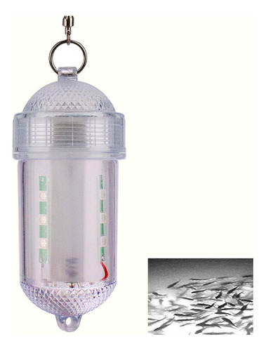 Sterose 12 Led Noche Pesca Luz Reunion Submarina Atraer