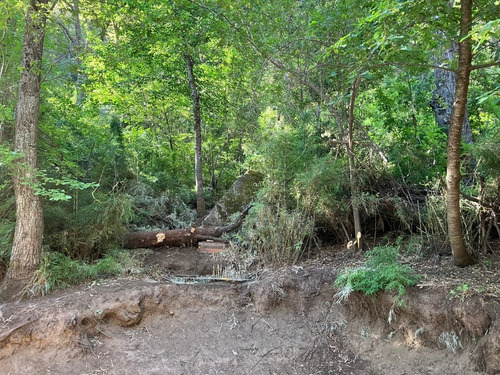 Imagen 14 de 18 de Alquiler De Cabaña En San Martín De Los Andes