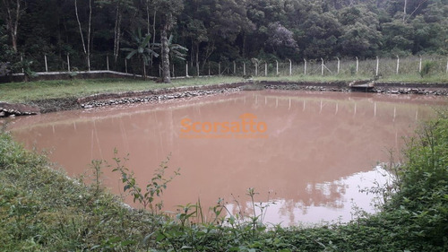 Imagem 23 de 23 de Chácara À Venda, Jardim Petrópolis, Itapecerica Da Serra/sp. - 6232