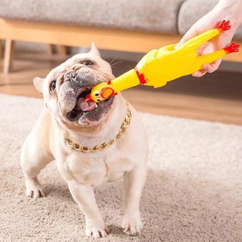 Encharcado De Frango De Borracha Brinquedos Brinquedos Cão Animal De  Estimação Gritando Frango Para Crianças Festa Gadgets Presentes Brinquedo  De Aperto Sono De $112,82