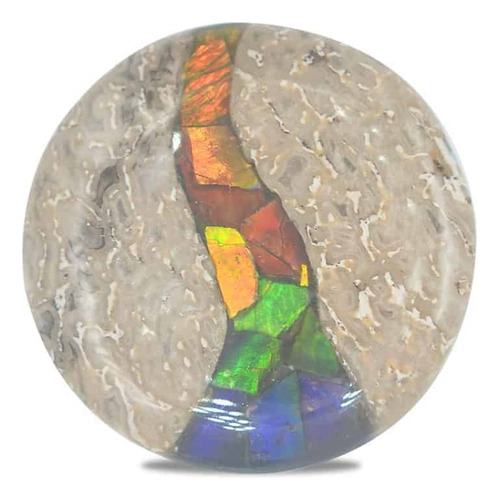 Hueso De Dinosaurio Fósil Con Incrustaciones De Amolita 30mm