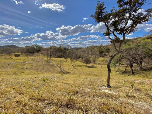 Imagem 18 de 26 de Fercal, Sobradinho Chácara Com Mais De 92 Hectares, Sendo 1.000m² De Área Útil, São 3 Quartos, Curral, Açude E Muito Mais! Estuda Permuta. - Villa129695