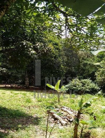 Imagem 4 de 8 de Cód 2618 - Lindo Sitio Com 48.000 M2 - 2618