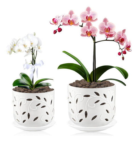 Conjunto De 2 Macetas Orquídeas Orificios Y Platos Sal...
