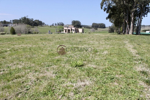 Imagen 5 de 11 de Terreno En Venta - Zona Barra - La Barra El Quijote