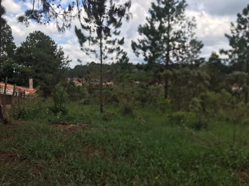 Imagem 23 de 30 de Chácaras Castelo Branco Km 68 Condomínio Vale Da Esperança Mairinque S-p