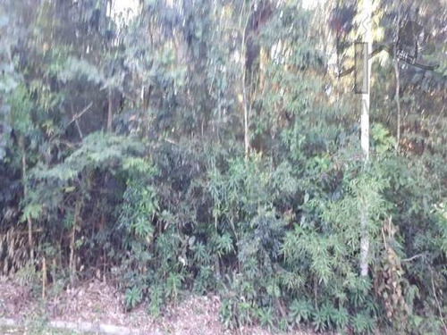 Imagem 3 de 3 de Cod 3723 - Terreno De 3.031 M² Em Loteamento Fechado. - 3723